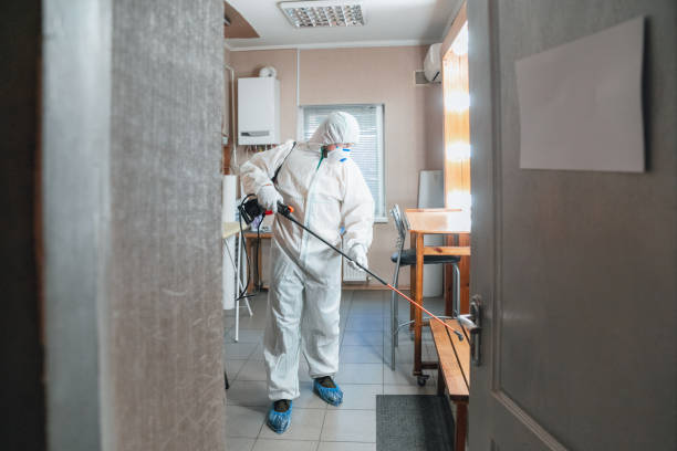 Best Mold Prevention Services  in Pensacola, FL