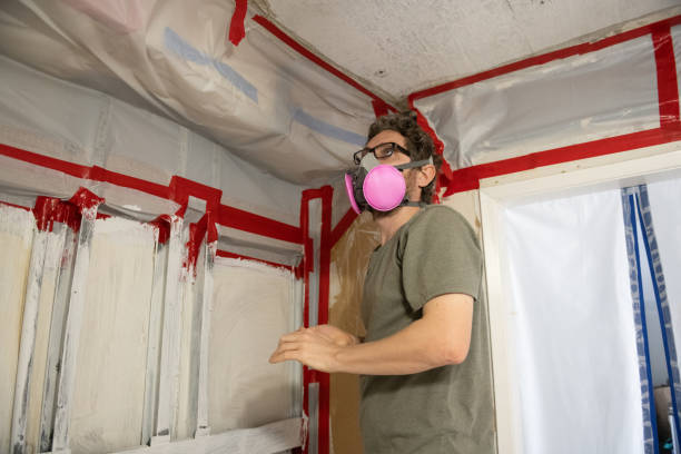 Best Commercial Mold Inspection  in Pensacola, FL