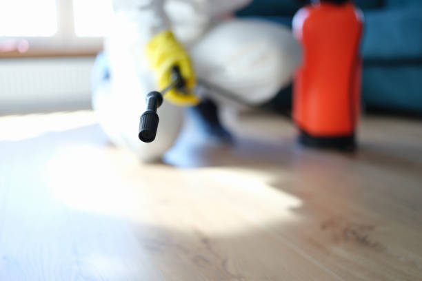 Asbestos and Lead Testing During Mold Inspection in Pensacola, FL