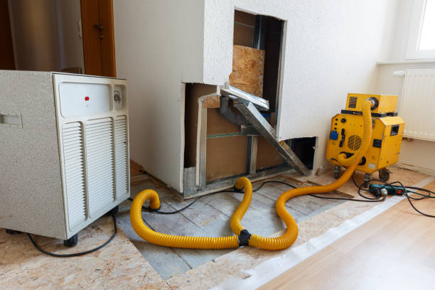Best Mold Odor Removal Services  in Pensacola, FL
