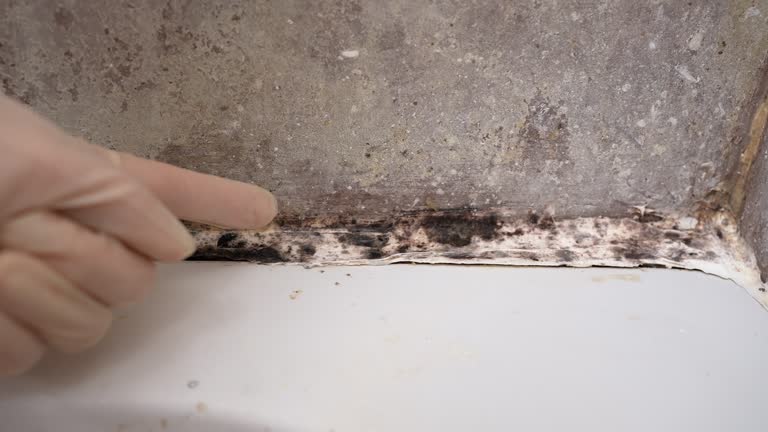 Best Air Quality Testing for Mold Spores  in Pensacola, FL