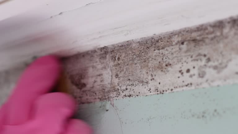 Best Residential Mold Inspection & Testing  in Pensacola, FL